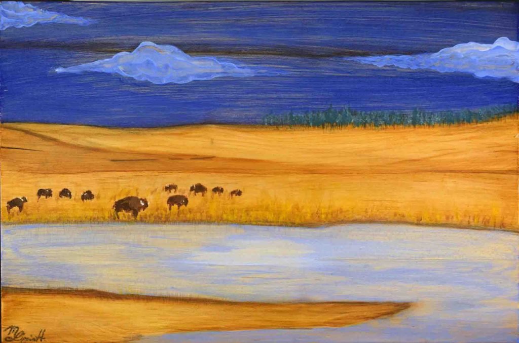 Lost Prairie bison roamed the Great Plains — Minnie's Art Studio