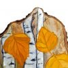 Autumn leaves close up 2