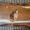 Wild Horses 5