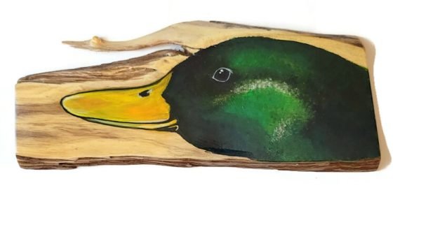 Mallard Duck