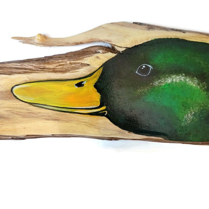 Mallard Duck 2