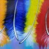 Four Feather 1