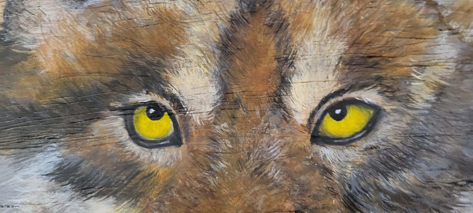 Lone_Wolf_Edge_Front_Eyes_Minnie_Lippiatt