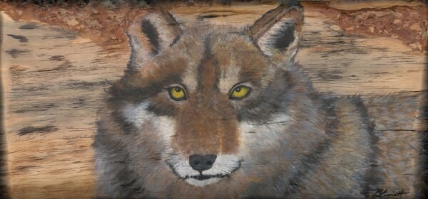 Lone_Wolf_Minnie_Lippiatt_2025
